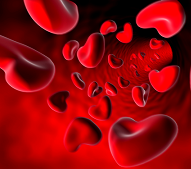Что такое стволовые клетки пуповинной крови